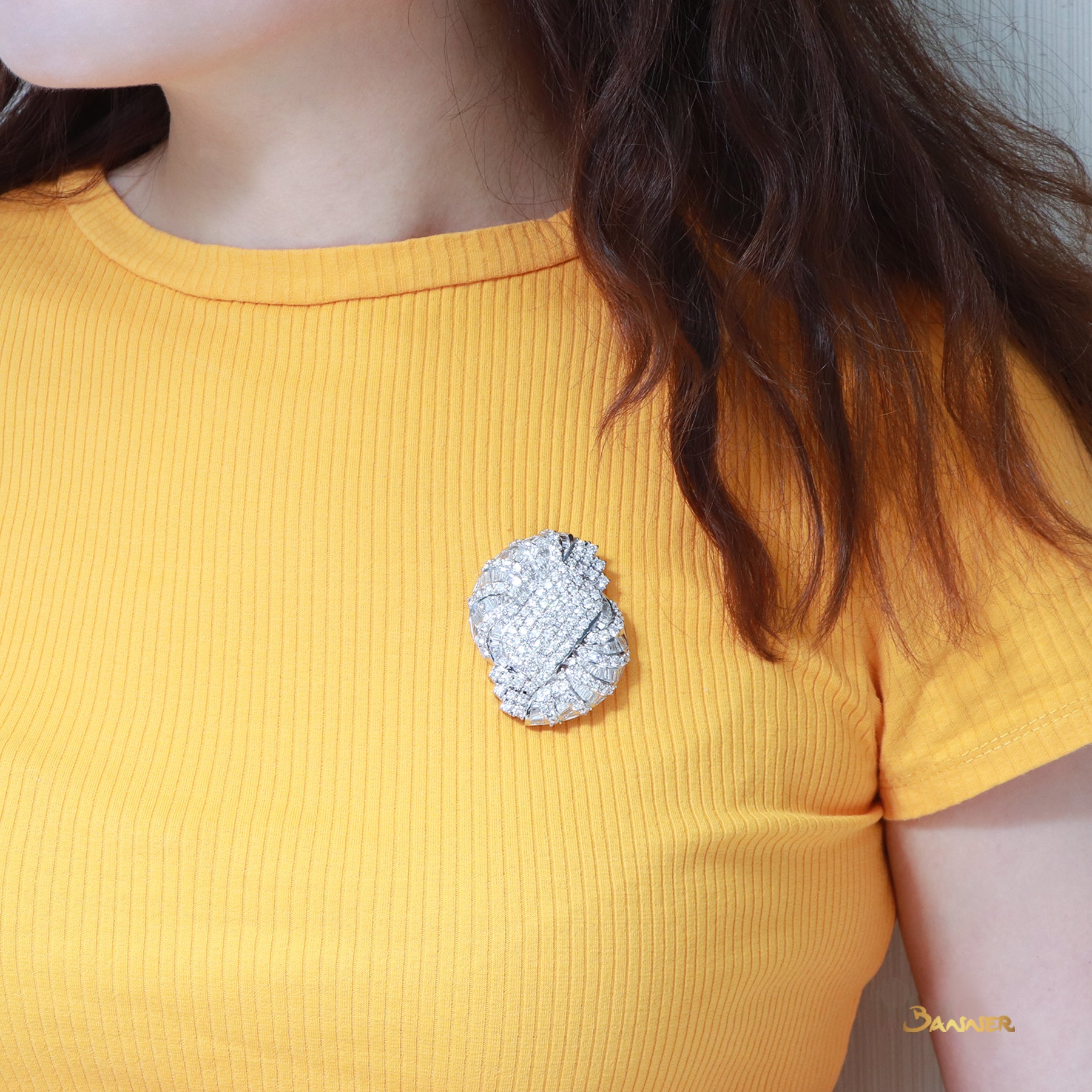 Diamond Pendant and Brooch