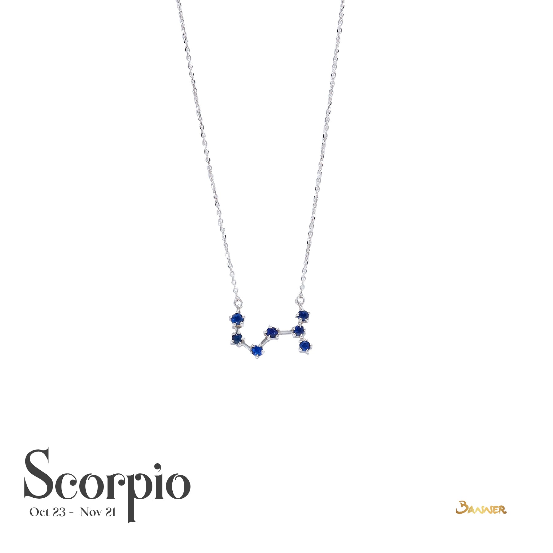 Zodiacs Necklace (Customizable)