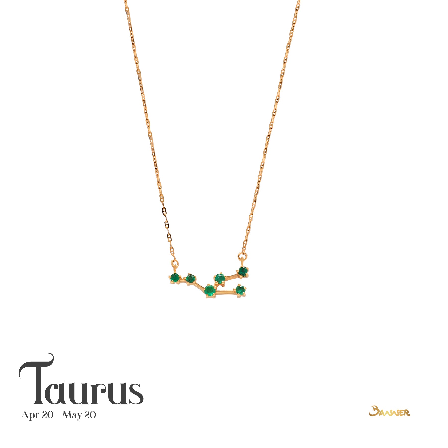 Zodiacs Necklace (Customizable)