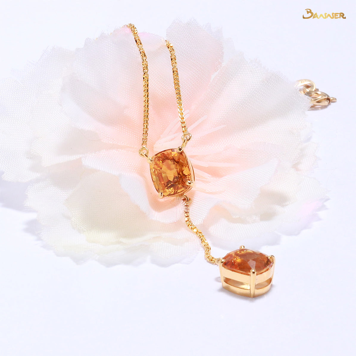 Citrine 2-step Necklace