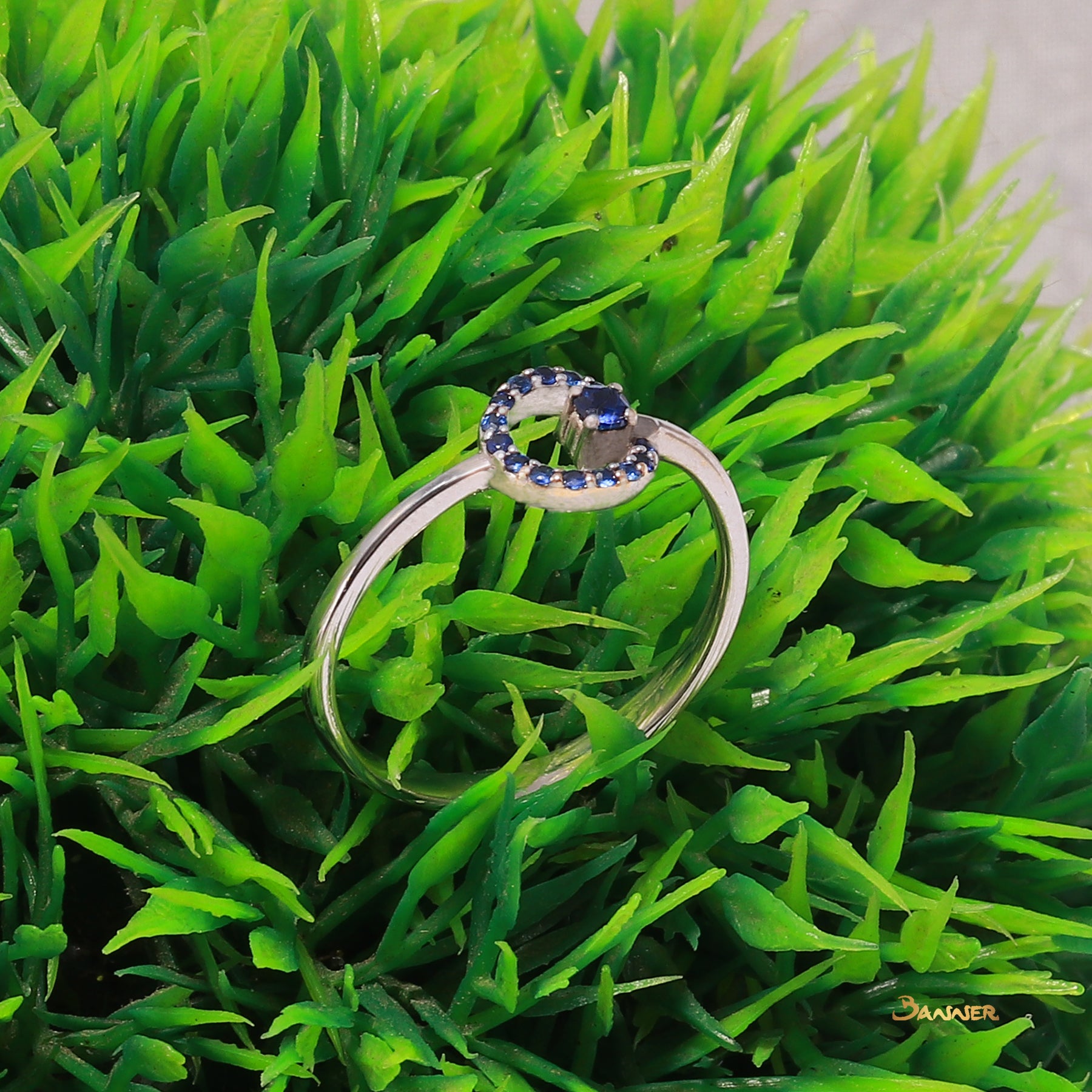 Sapphire Circle Ring